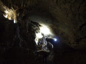 Heinrichs Cave Germany LED spotlights for harsh conditions in stalactite caves