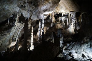 Baumanns cave Germany Illuminated stalactite in a visitor cave
