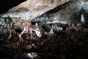Germany Coloured LED light on cave formation