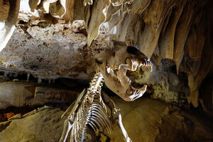 Modern cave lighting with LED technology